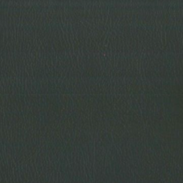 smooth upholstery leather performance leather darkness green,  dallas upholstery leather, usa upholstery leather, best high quality upholstery leather, upholstery leather for furniture, affordable upholstery leather, affordable wholesale upholstery leather usa, interior design, interior designer upholstery leather, free leather samples