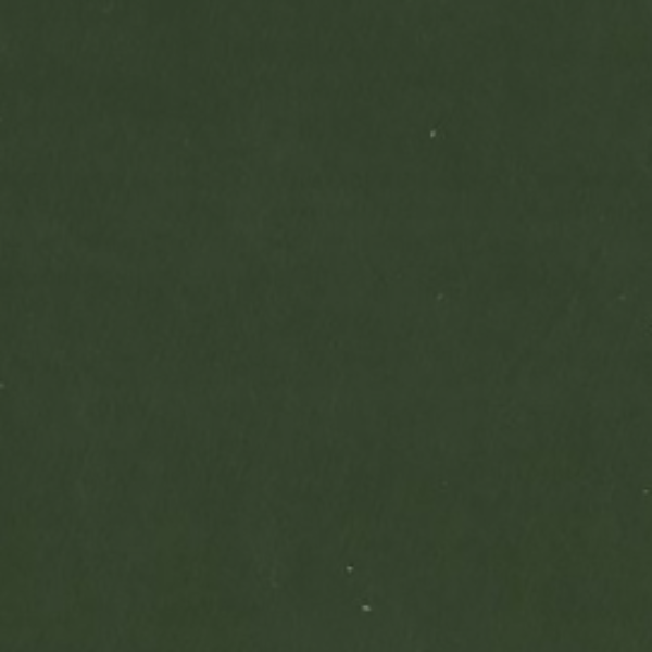 smooth upholstery leather performance leather Juniper green,  dallas upholstery leather, usa upholstery leather, best high quality upholstery leather, upholstery leather for furniture, affordable upholstery leather, affordable wholesale upholstery leather usa, interior design, interior designer upholstery leather, free leather samples