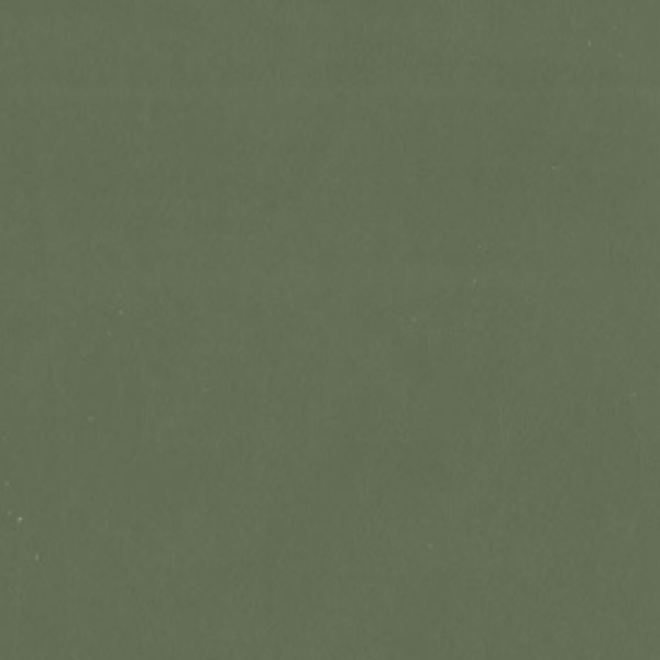 smooth upholstery leather performance leather lichen green,  dallas upholstery leather, usa upholstery leather, best high quality upholstery leather, upholstery leather for furniture, affordable upholstery leather, affordable wholesale upholstery leather usa, interior design, interior designer upholstery leather, free leather samples