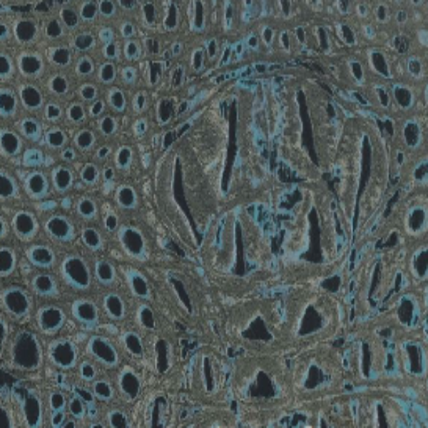 Best Asher Leather Embossed Upholstery Leather Hornback midnight, embossed upholstery leather usa, dallas upholstery leather, usa upholstery leather, best high quality upholstery leather, upholstery leather for furniture, affordable upholstery leather, affordable wholesale upholstery leather usa, interior design, interior designer upholstery leather, free leather samples 